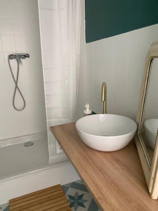 Apartament Chez Salome & Theo ! Saint-Jean-d'Arvey Zewnętrze zdjęcie